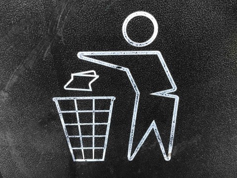 How to get rid of maggots in bin