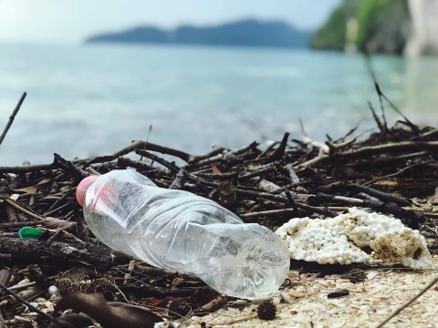 Facts About Littering You Need to Know